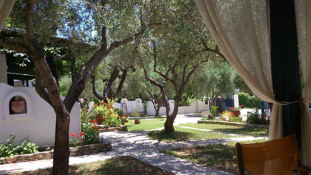 Olive House Elia Nikitis Exterior foto