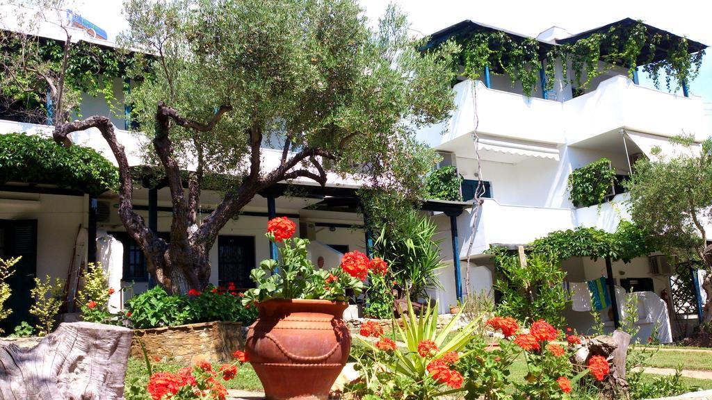 Olive House Elia Nikitis Exterior foto